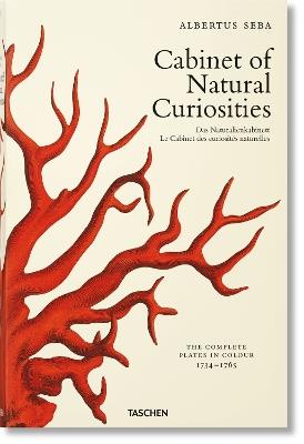 Albertus Seba. Cabinet of natural curiosities. Ediz. inglese, francese e tedesca - Irmgard Musch, Jes Rust, Rainer Willmann - Libro Taschen 2020 | Libraccio.it
