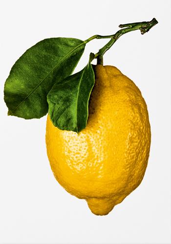 The gourmand's lemon. A collection of stories & recipes  - Libro Taschen 2024 | Libraccio.it