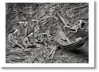 Sebastião Salgado. Amazônia. Poster «Zo'e Women»  - Libro Taschen 2021 | Libraccio.it