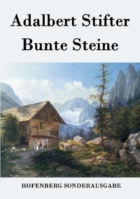 Bunte Steine - Adalbert Stifter - Libro Hofenberg | Libraccio.it