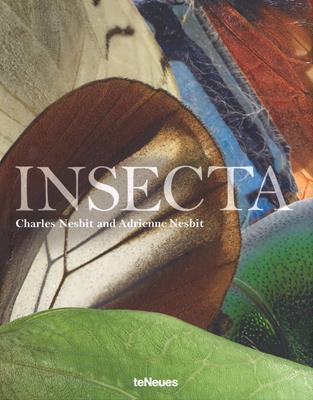Insecta. Ediz. illustrata - Charles Nesbit, Adrienne Nesbit - Libro TeNeues 2017 | Libraccio.it