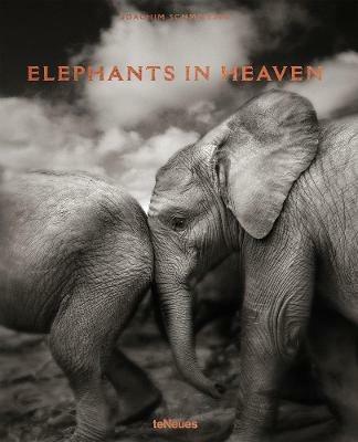 Elephants in heaven. Ediz. inglese, francese e tedesca - Joachim Schmeisser - Libro TeNeues 2017 | Libraccio.it