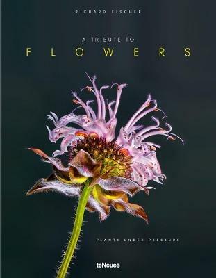 A tribute to flowers. Plants under pressure. Ediz. tedesca, inglese e francese - Richard Fischer - Libro TeNeues 2018, Photographer | Libraccio.it