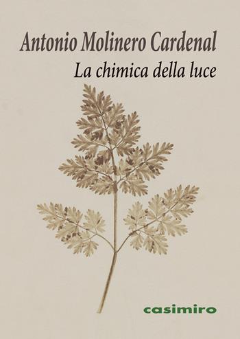 La chimica della luce - Antonio Molinero Cardenal - Libro Casimiro 2019 | Libraccio.it