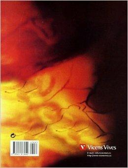 Curso de historia de la literatura espanola. - E. Cabrera - Libro Vicens Vives 2004 | Libraccio.it