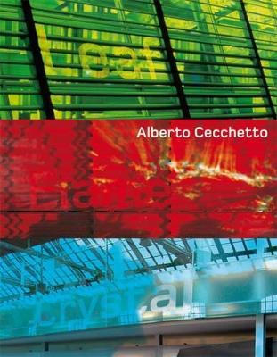 Flame  - Libro Actar 2020 | Libraccio.it