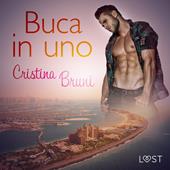 Libraccio Buca in uno (audiolibro)
