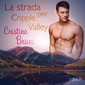 Libraccio La strada per Cripple Valley (audiolibro)