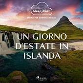 Libraccio SleepyCast. Storie per dormire meglio 2.9 (audiolibro)