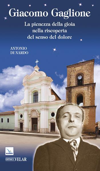 Giacomo Gaglione. La pienezza della gioia nella riscoperta del senso del dolore - Antonio Di Nardo - Libro Editrice Elledici 2012, Biografie | Libraccio.it