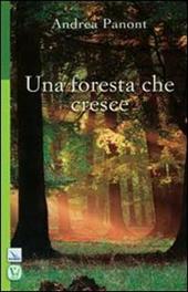 Una foresta che cresce