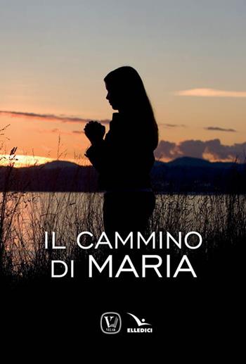 Il cammino di Maria - Massimiliano Taroni, Maria Grazia Pinna - Libro Editrice Elledici 2017, Meditare | Libraccio.it