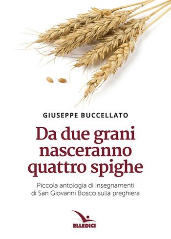 Da due grani nasceranno quattro spighe. Piccola antologia di insegnamenti di San Giovanni Bosco sulla preghiera - Giuseppe Buccellato - Libro Editrice Elledici 2018, Spiritualità e pedagogia salesiana | Libraccio.it