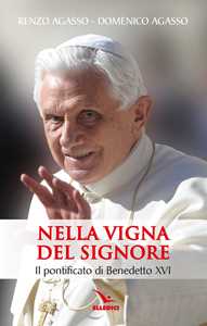 Image of Nella vigna del Signore. Il pontificato di Benedetto XVI