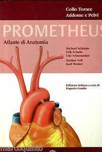 Diritto commerciale. Vol. 2: Diritto delle società - Gian Franco Campobasso - Libro UTET 2009 | Libraccio.it