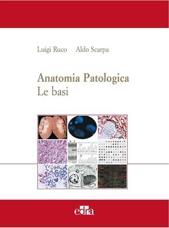 Anatomia patologica. Le basi. Vol. 1 - Aldo Scarpa, Luigi Ruco - Libro Edra 2007 | Libraccio.it