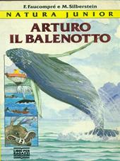 Arturo il balenotto