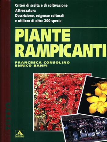Piante rampicanti - Francesca Consolino, Enrico Banfi - Libro Mondadori 1993, Illustrati. Tutto | Libraccio.it