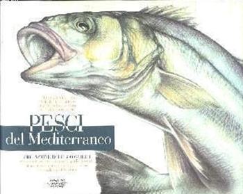 Pesci del Mediterraneo  - Libro Mondadori 1994, Altra illustrati | Libraccio.it