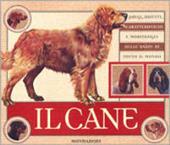 Il cane