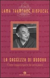 La saggezza di Buddha. Come raggiungere la vera pace