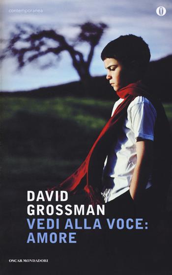 Vedi alla voce: amore - David Grossman - Libro Mondadori 2008, Oscar contemporanea | Libraccio.it