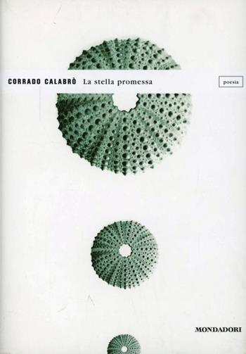 La stella promessa - Corrado Calabrò - Libro Mondadori 2009, Lo specchio | Libraccio.it