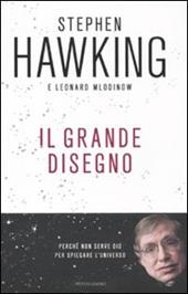 Il grande disegno