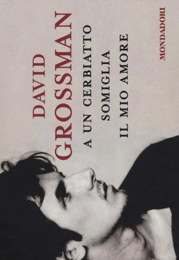 A un cerbiatto somiglia il mio amore - David Grossman - Libro Mondadori 2014, Flipback | Libraccio.it