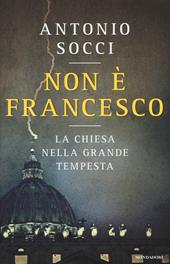 Non è Francesco. La Chiesa nella grande tempesta