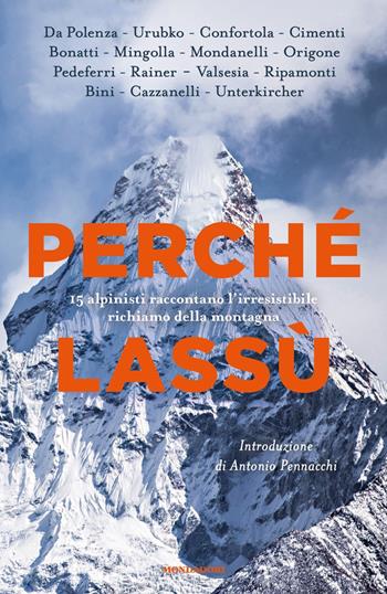 Perché lassù. 15 alpinisti raccontano l'irresistibile richiamo della montagna  - Libro Mondadori 2021, Vivavoce | Libraccio.it