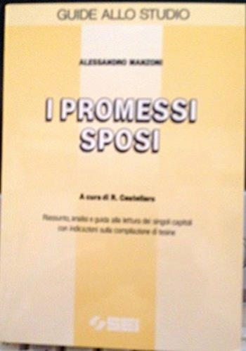 I Promessi sposi. Riassunto, analisi e guida alla lettura dei singoli capitoli con indicazioni sulla compilazione di tesine - Alessandro Manzoni - Libro SEI 1990, Guide allo studio | Libraccio.it