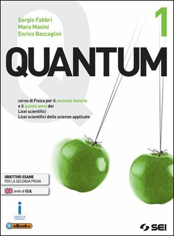Quantum. Per i Licei scientifici. Con e-book. Con espansione online. Vol. 1 - Sergio Fabbri, Mara Masini, Enrico Baccaglini - Libro SEI 2016 | Libraccio.it