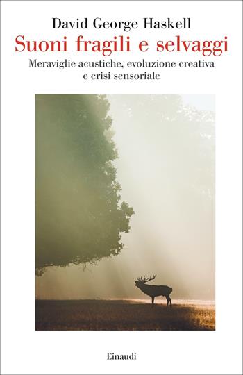 Suoni fragili e selvaggi. Meraviglie acustiche, evoluzione creativa e crisi sensoriale - David George Haskell - Libro Einaudi 2023, Saggi | Libraccio.it