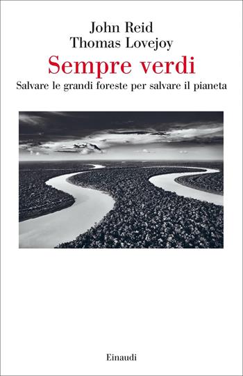 Sempre verdi. Salvare le grandi foreste per salvare il pianeta - Thomas E. Lovejoy, John W. Reid - Libro Einaudi 2022, Saggi | Libraccio.it