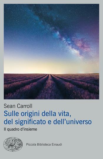 Sulle origini della vita, del significato e dell'universo. Il quadro d'insieme - Sean Carroll - Libro Einaudi 2024, Piccola biblioteca Einaudi. Big | Libraccio.it