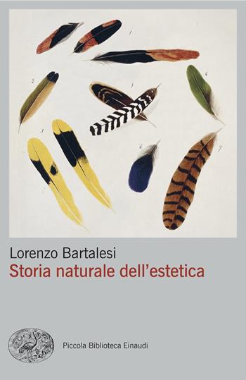 Storia naturale dell'estetica - Lorenzo Bartalesi - Libro Einaudi 2024, Piccola biblioteca Einaudi. Big | Libraccio.it