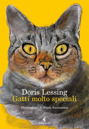 Gatti molto speciali - Doris Lessing - Libro Feltrinelli 2017, I narratori | Libraccio.it