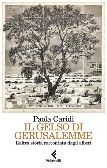 Il gelso di Gerusalemme. L'altra storia raccontata dagli alberi - Paola Caridi - Libro Feltrinelli 2024, Scintille | Libraccio.it