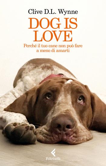 Dog is love. Perché il tuo cane non può fare a meno di amarti - Clive D. L. Wynne - Libro Feltrinelli 2025, Scintille | Libraccio.it