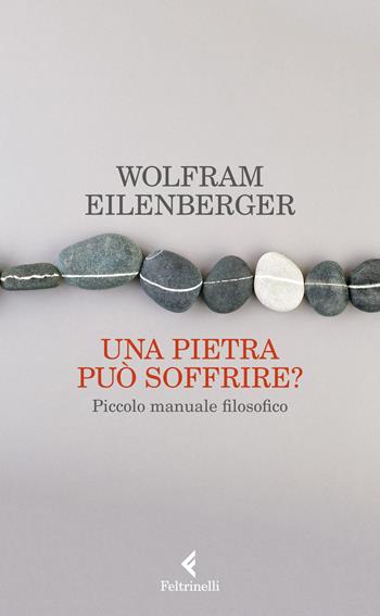Una pietra può soffrire? Piccolo manuale filosofico - Wolfram Eilenberger - Libro Feltrinelli 2022, Varia | Libraccio.it