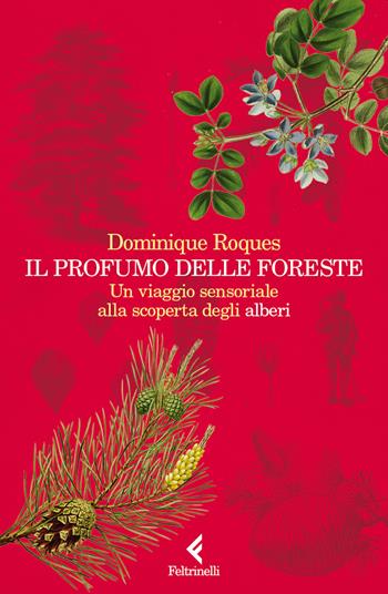 Il profumo delle foreste. Un viaggio sensoriale alla scoperta degli alberi - Dominique Roques - Libro Feltrinelli 2023, Varia | Libraccio.it