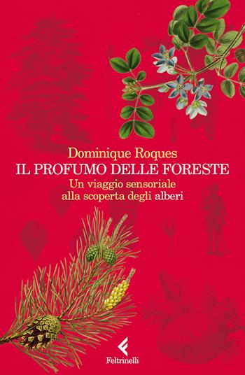 Il profumo delle foreste. Un viaggio sensoriale alla scoperta degli alberi - Dominique Roques - Libro Feltrinelli 2023, Varia | Libraccio.it