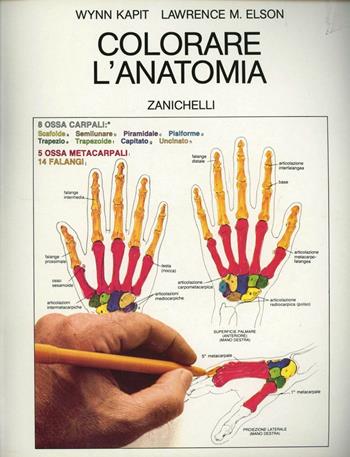 Colorare l'anatomia - Wynn Kapit, Lawrence M. Elson - Libro Zanichelli 1984 | Libraccio.it