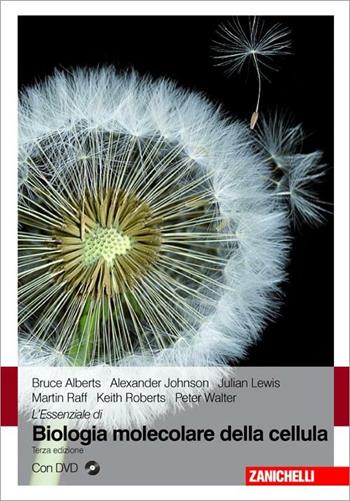 L' essenziale di «Biologia molecolare della cellula»  - Libro Zanichelli 2011 | Libraccio.it