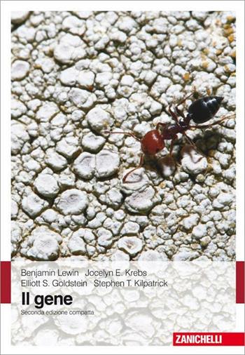 Il gene  - Libro Zanichelli 2011 | Libraccio.it