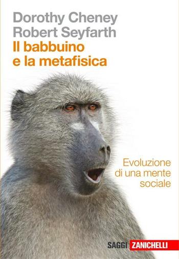 Il babbuino e la metafisica. Evoluzione di una mente sociale - Dorothy Cheney, Robert Seyfarth - Libro Zanichelli 2010, Saggi | Libraccio.it