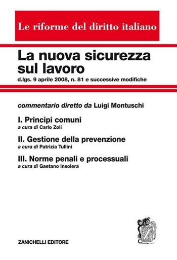 La nuova sicurezza sul lavoro: Principi comuni-Gestione della prevenzione-Norme penali e processuali. Cofanetto  - Libro Zanichelli 2011, Le riforme del diritto italiano | Libraccio.it