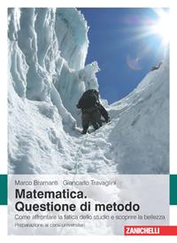 Matematica. Questione di metodo. Come affrontare la fatica dello studio e scoprire la bellezza. Preparazione ai corsi universitari - Marco Bramanti, Giancarlo Travaglini - Libro Zanichelli 2009 | Libraccio.it