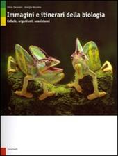 Immagini e itinerari della biologia. Cellule, organismi, ecosistemi. Per le scuole superiori